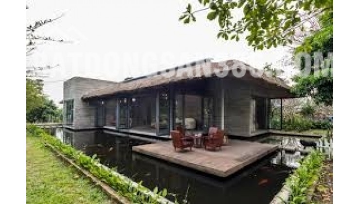 Nhà vườn 7x25m gần chợ Bến Lức – Sổ hồng riêng, thổ cư 100%